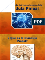 Pineal