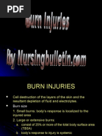 Download 5 2 BURN1 by seigelystic SN2199673 doc pdf
