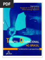 Terapia Ocupacional No Brasil - Marysia Prado