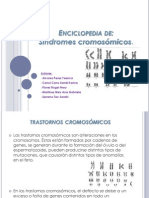 Diccionario 120301185528 Phpapp01