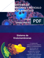 6. Reticulo Endoplasmatico y Sisitemas de Endomembranas