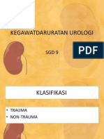 Panel SGD 9 Trauma Urologi