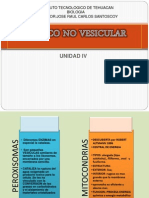 Trafico No Vesicular