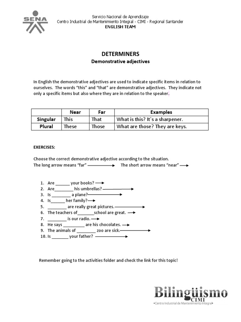 Understanding Demonstrative Adjectives in English | PDF