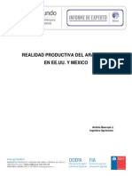 Informe ArandanoVF21012013