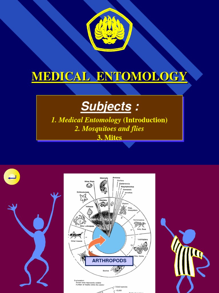 Introduction to Medical Entomology | PDF | Mosquito | Transmission ...