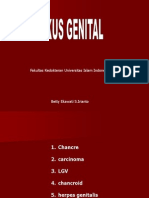 Ulkus Genital