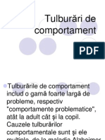 Tulburări de Comportament