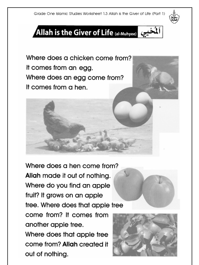 Grade 1 Islamic Studies - Worksheet 1.3 - Allah Is The Giver of Life ...