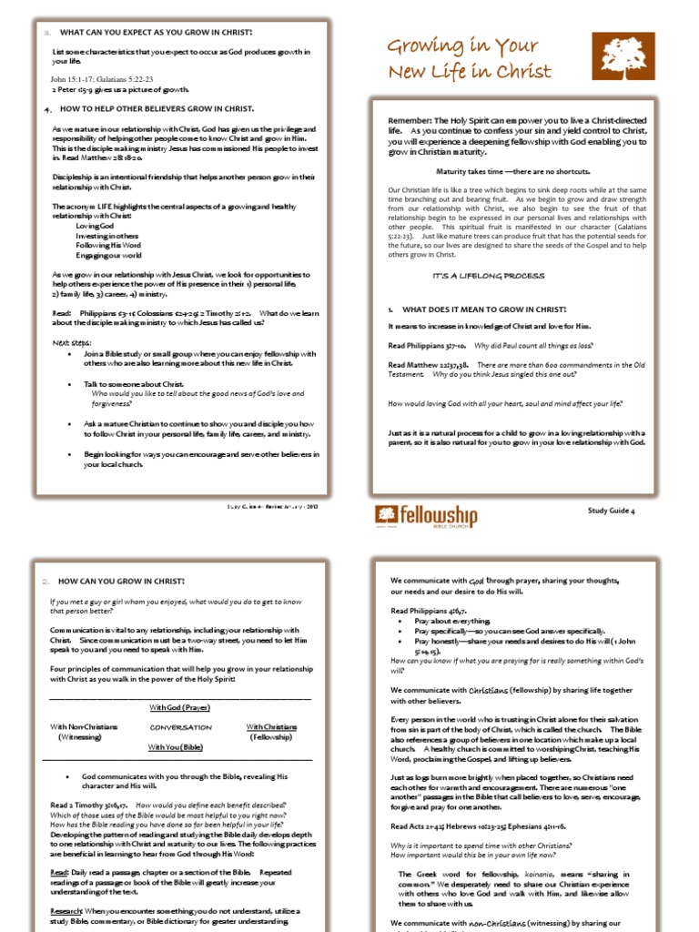 Characteristics of New Life in Christ | PDF | Disciple (Christianity ...