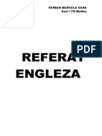 Referat Engleza