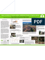 Jaguar Poster Presentation for the International Sea Turtle Symposium 2009