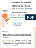 Microbiolog A Del Huevo