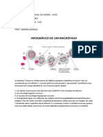 Infografico Macrógafo