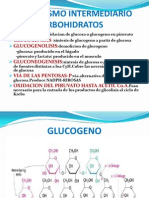 Clase Del Metabolismo Del Glucogeno 2010-II