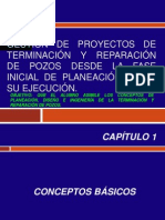 Gestión de Proyectos de Terminación y Reparación.pptx