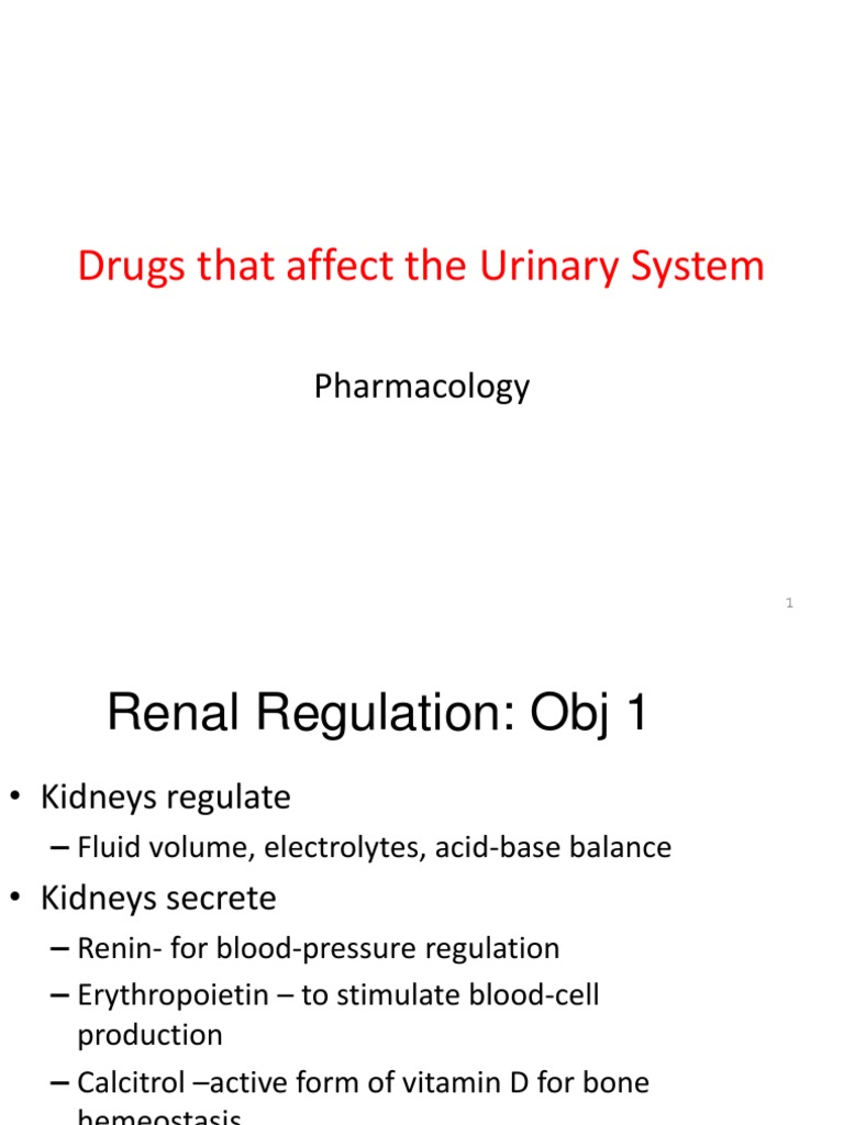 Urinary System Drugs and Diuretics Overview | PDF | Kidney | Drugs