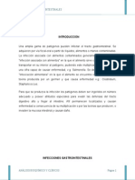 Infecciones gastrointestinales: causas, síntomas y tratamiento