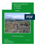 Downshill Excavation Report (2007)