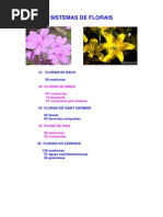 Mr Florais Integrado Revisado