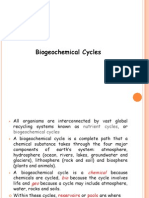 Lec 7 Biogeochemical Cycles
