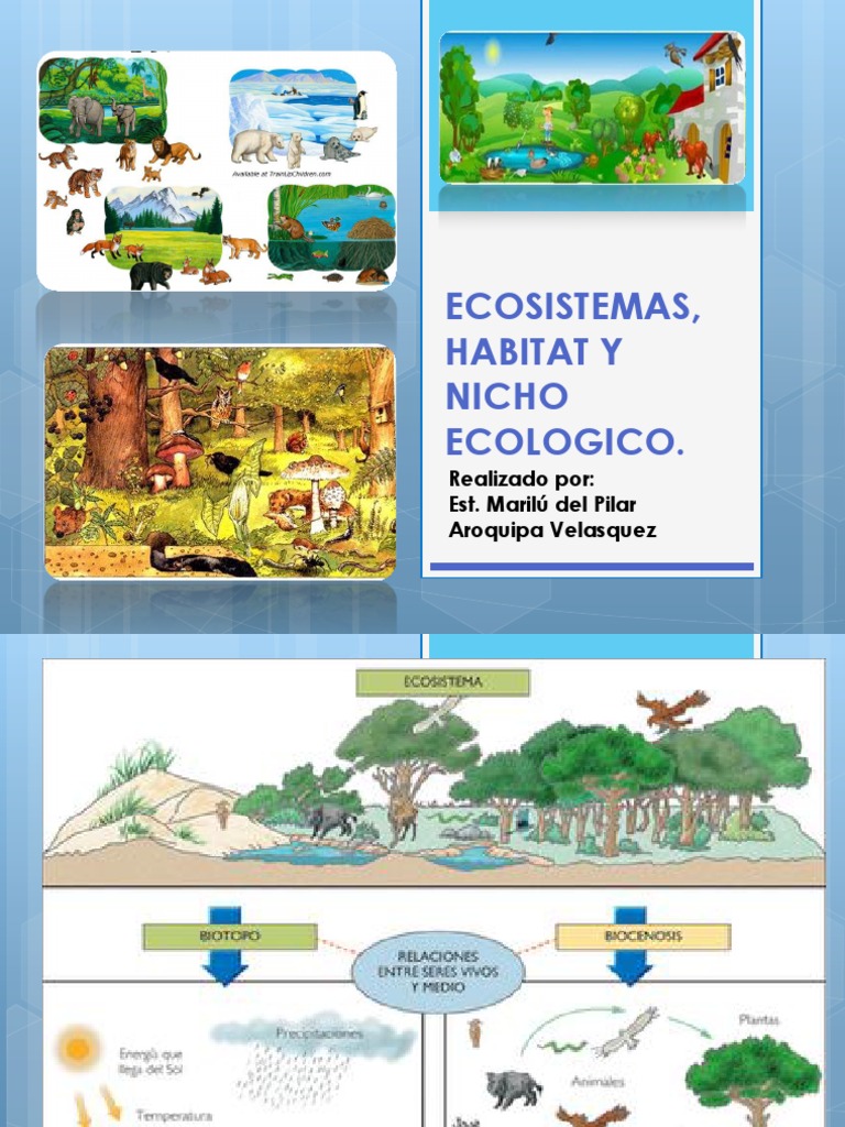 Qual A Diferença Entre Habitat E Nicho