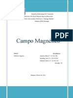 Campos Magneticos.pdf