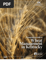 Download A Comprehensive Guide to Wheat Management in Kentucky by University of Kentucky Extension SN22020286 doc pdf