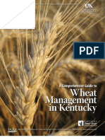 A Comprehensive Guide To Wheat Management in Kentucky