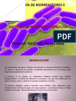 diseodeunprocesodebiopelicula-131003190546-phpapp02