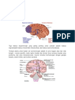 Dopaminergic Pathway