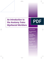 Anatomy Trains Overview