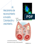 4c._Patogenia