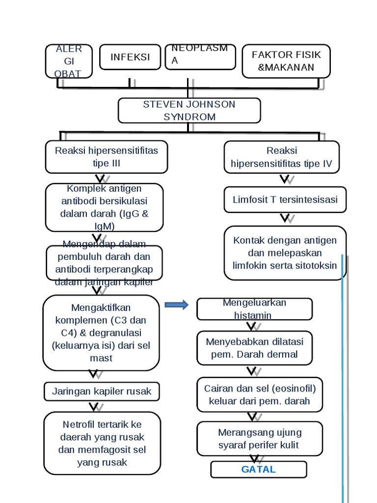 Steven Johnson Syndrome Overview | PDF | Wellness