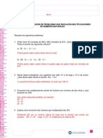 Articles-21384 Recurso Pauta PDF