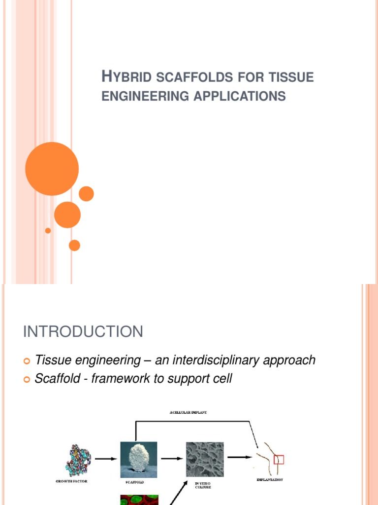 Hybrid Scaffolds in Tissue Engineering | PDF