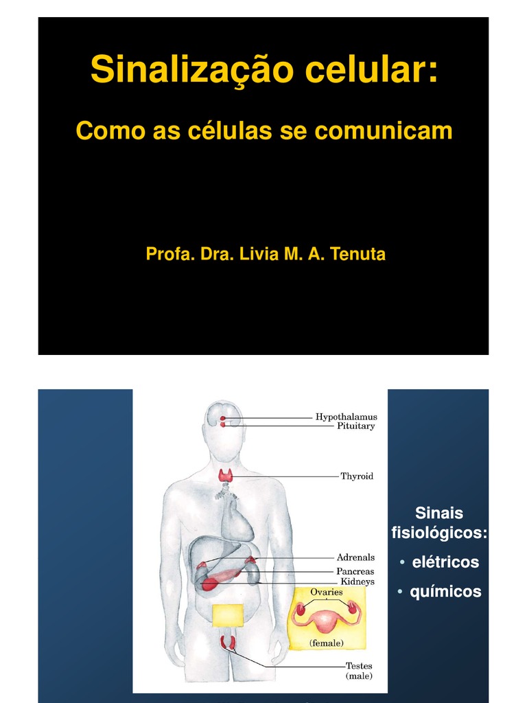 Comunicação Celular Por Meio De Sinais Quimicos
