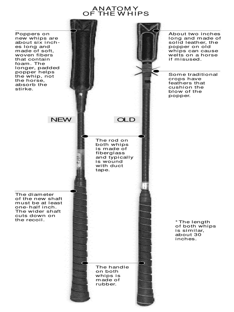 Giving Safer Whips A Crack Padding Softens The Blow, But Less Control