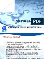 Phosphoric Acid Fuel Cell (Pafc)