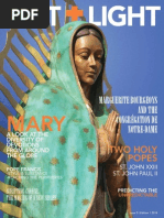 Download Salt  Light Magazine Spring 2014 by jlanzarini7240 SN220279404 doc pdf