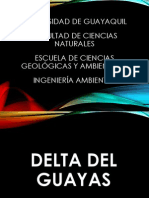 Delta Del Guayas