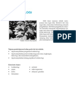 Download Bioteknologi Materi Kelas 12 Biologi by Iqbal Bagaskara SN220293276 doc pdf