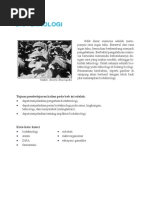 Materi Bioteknologi Kelas 12