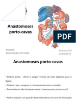 Anastomoses Porto Cavas