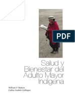 Adulto Mayor Indígena 2010
