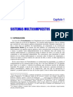 1-Sistemas_Multicompuestos