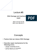 DNA Damage Repair Mechanisms