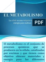 El Metabolismo Celular