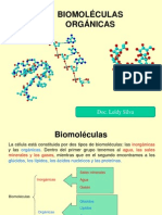 Biomoléculas Organicas