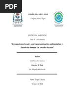 Problemas Ambientales